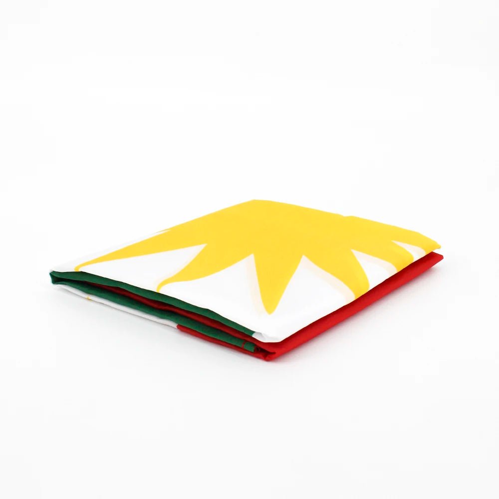 Kurdistan Flag — 5ft x 3ft - FlagsOTW