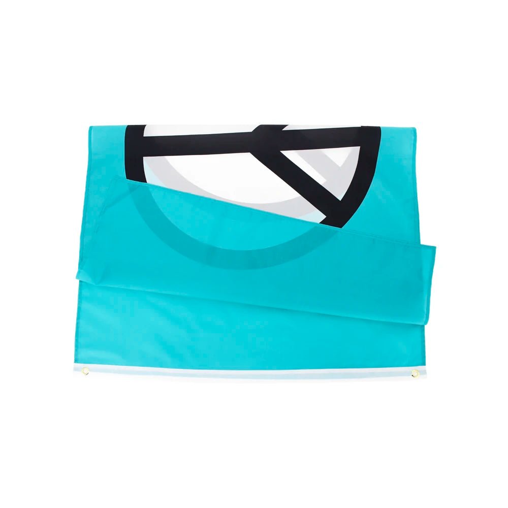 Peace Symbol Flag — Multiple Sizes - FlagsOTW