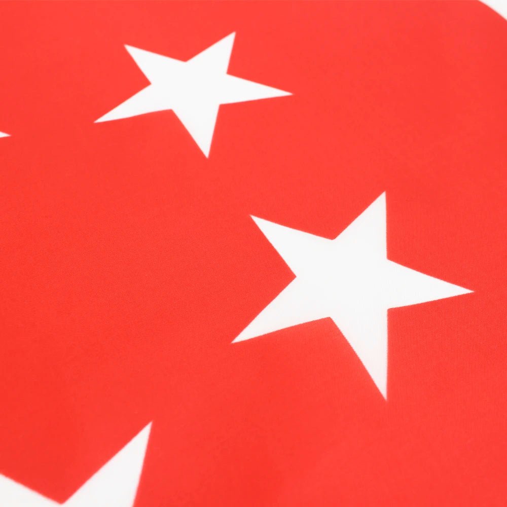 Singapore Flag — 5ft x 3ft - FlagsOTW