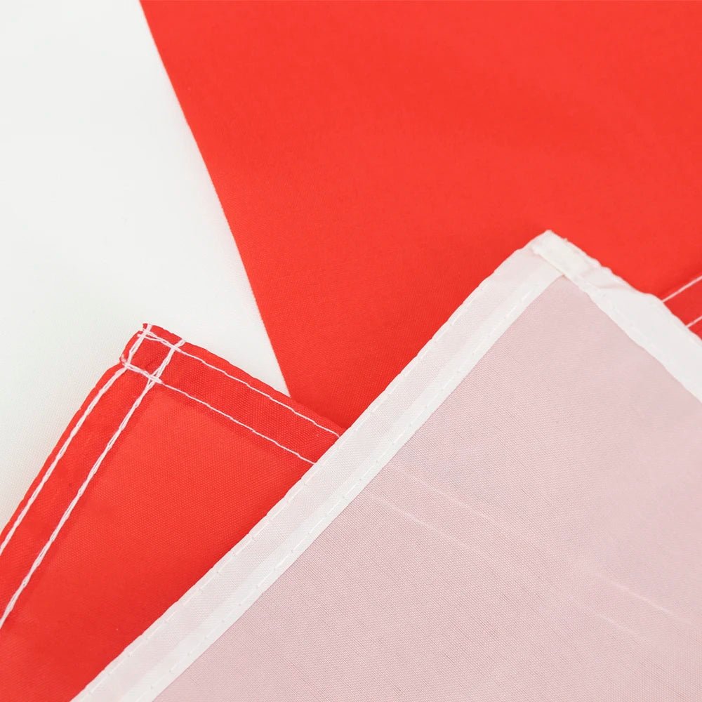 Singapore Flag — 5ft x 3ft - FlagsOTW